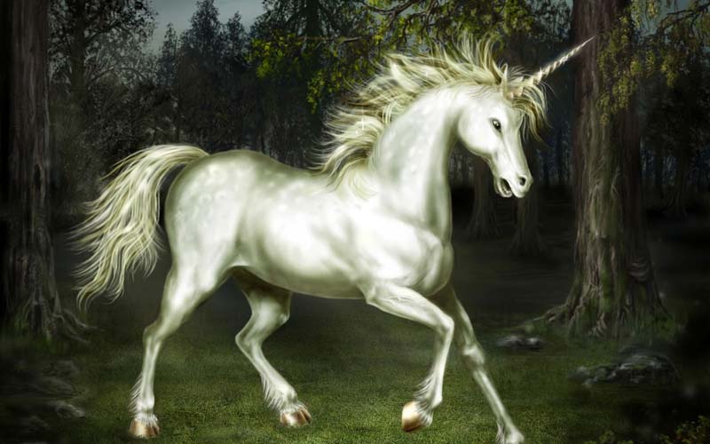 Unicorns are not imaginary animals