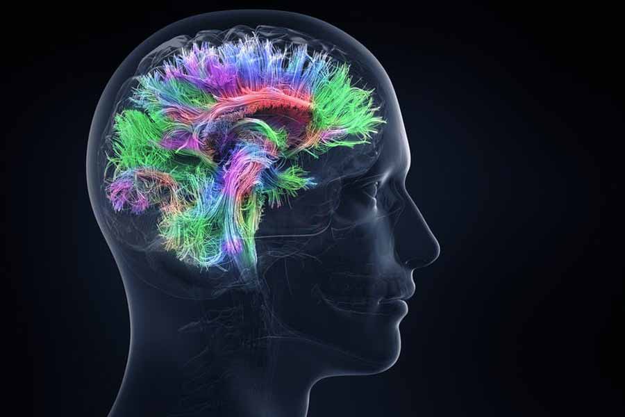 Good for the functioning of the brain