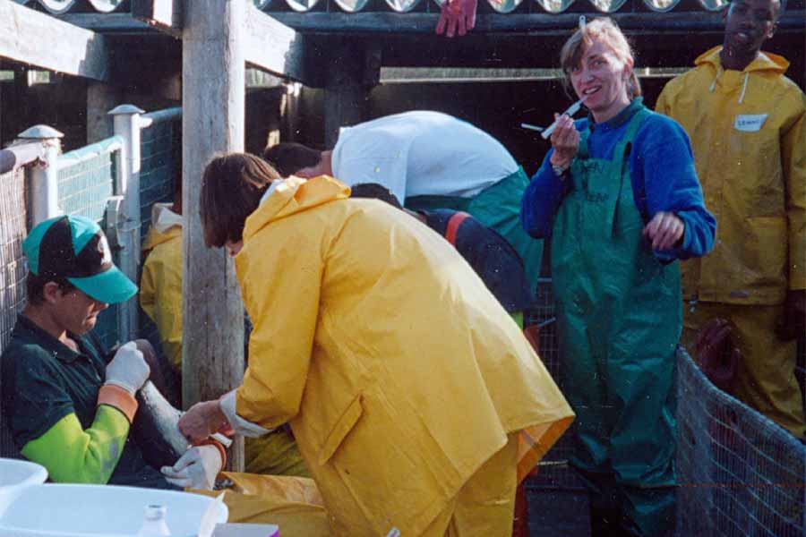 Sinking off a cargo ship creates an oil spill