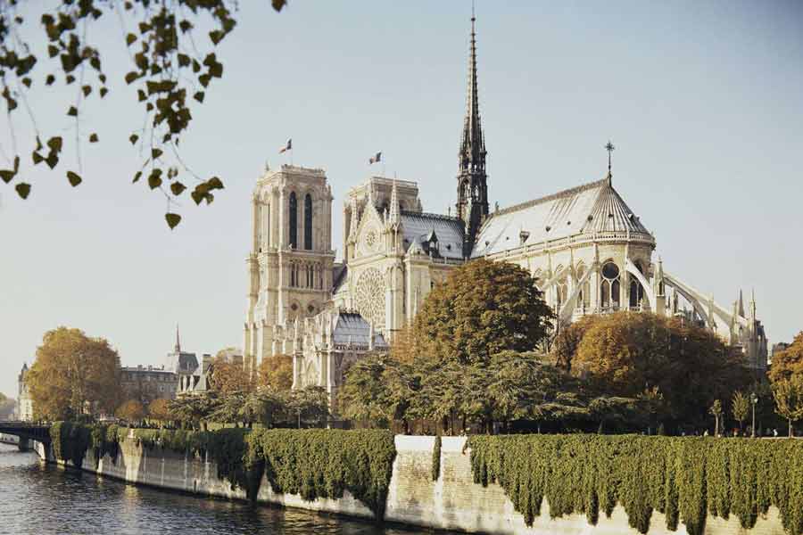 The roof on Notre-Dame contained a “forest”