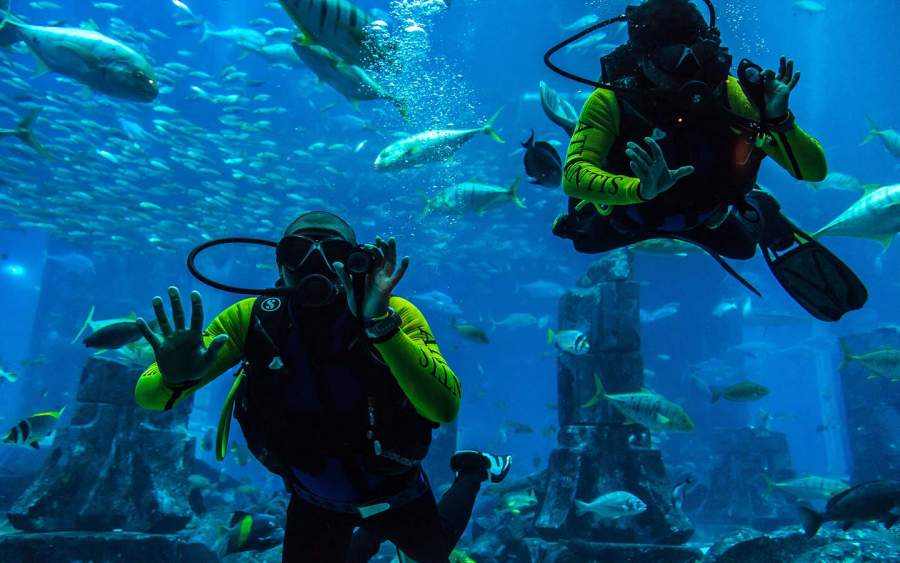 Scuba Diving in Dubai