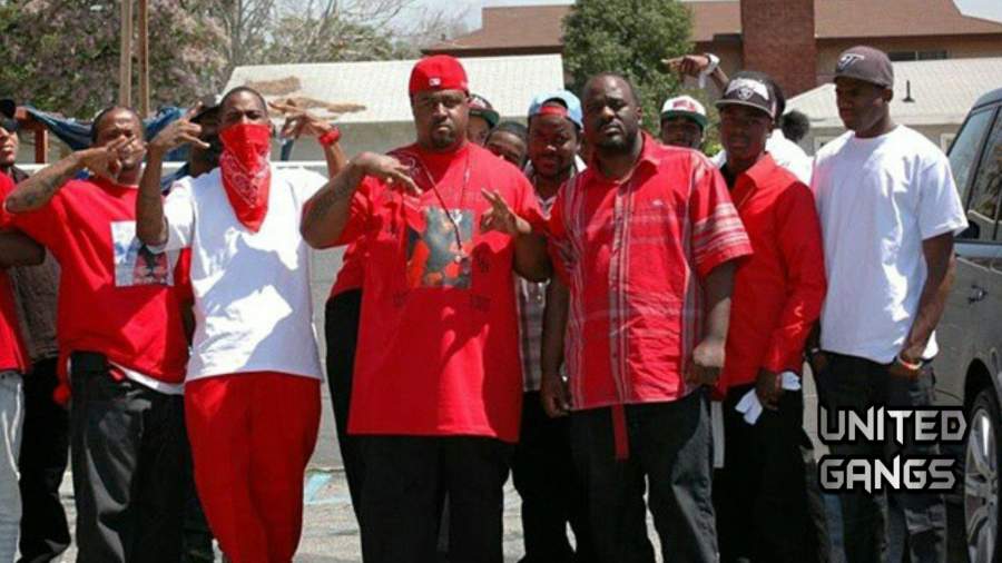 Bloods Gang