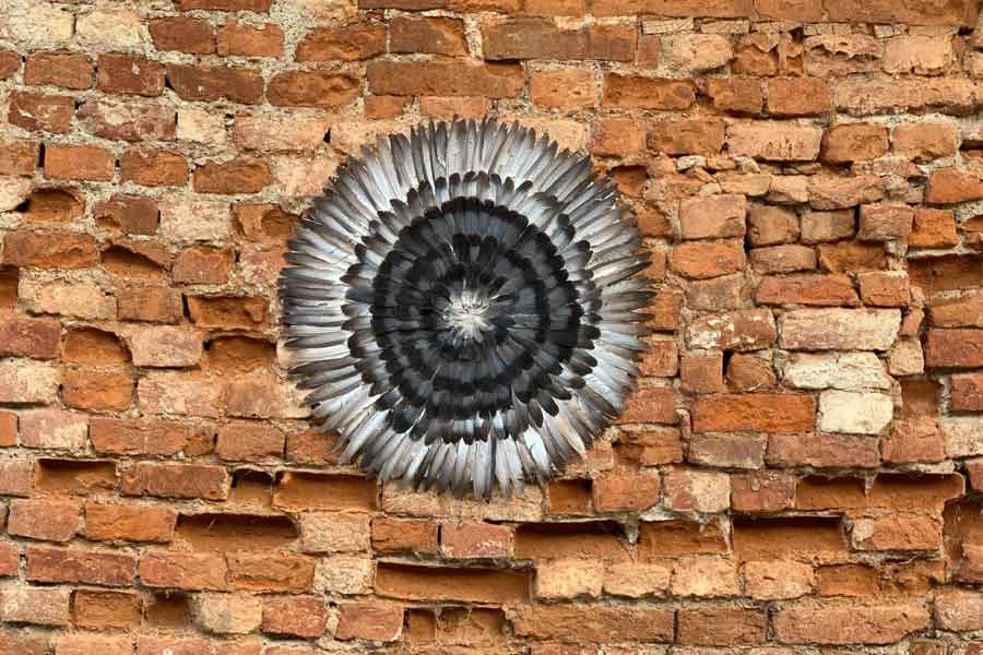 eye in a wall, Found feathers