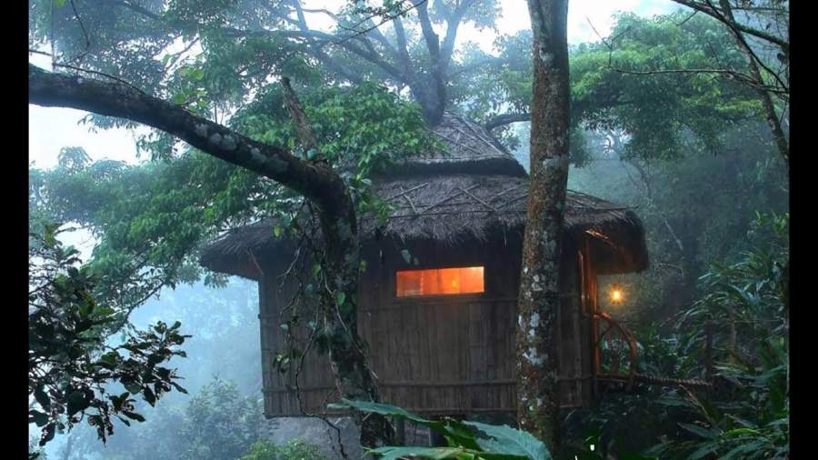 TreeHouse Wayanad