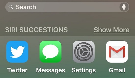 spotlight-search-safari