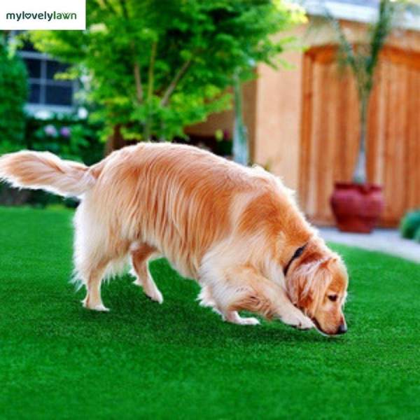 Pet Friendly Artificial Grass