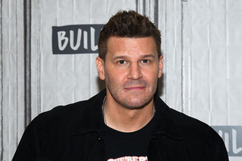 David Boreanaz Net Worth 2023 Career, Wife, Earnings