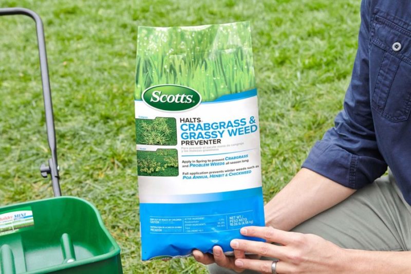 What does crabgrass look like how to get rid of it 