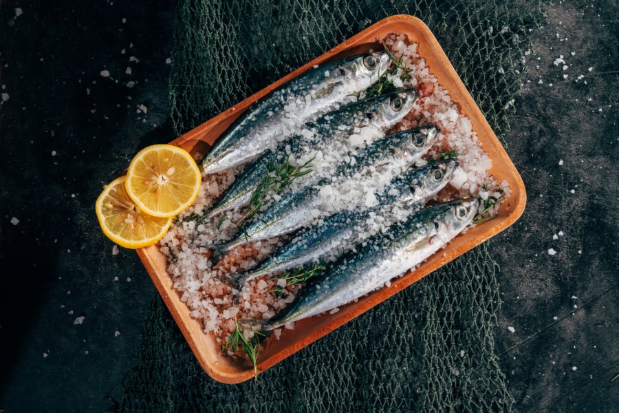 Sardines