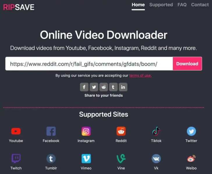 RipSave 9xbuddy alternative