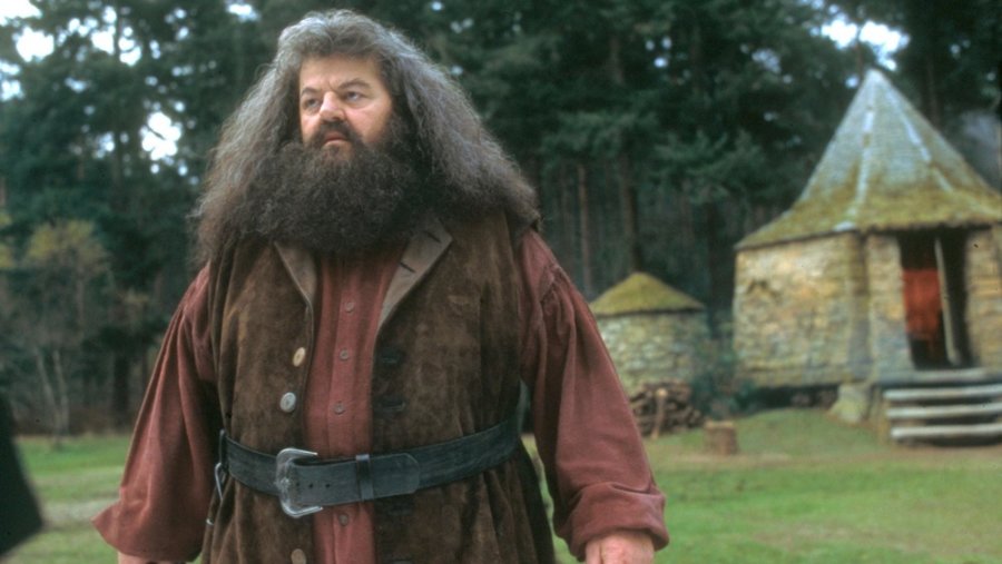 Hagrid