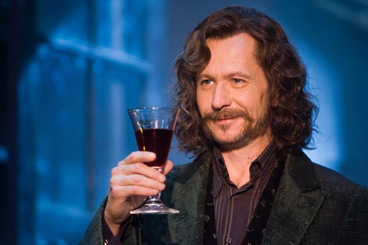 Sirius Black - Harry Potter Characters