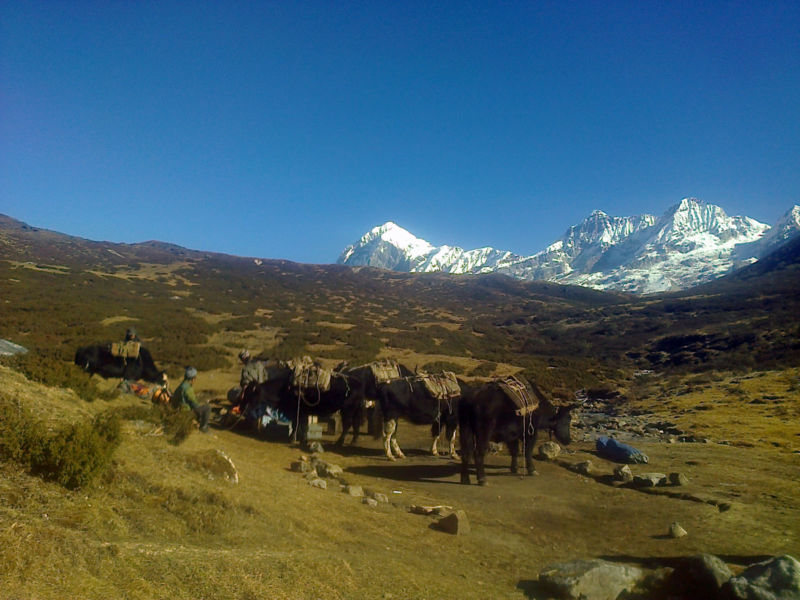 Kanchenjunga