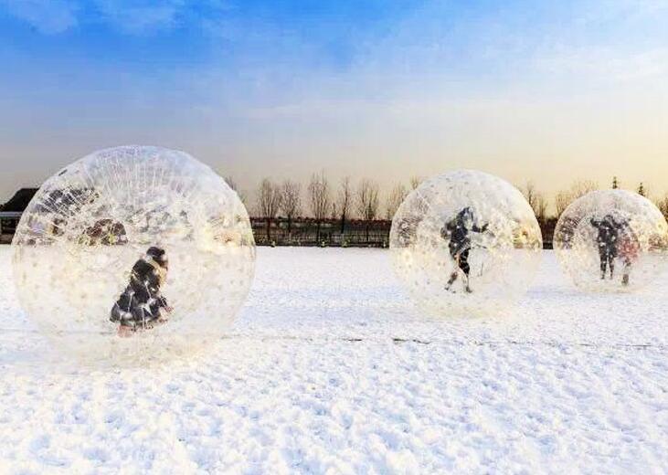 Snow Zorb ball