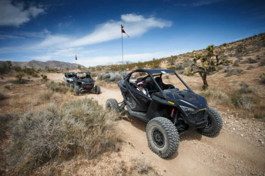 Polaris RZR Pro