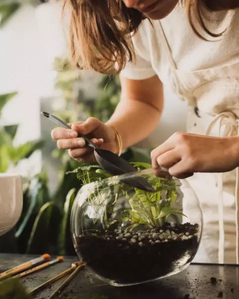 Making a terrarium