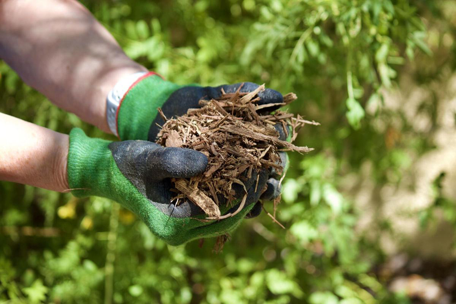 Types of Mulches