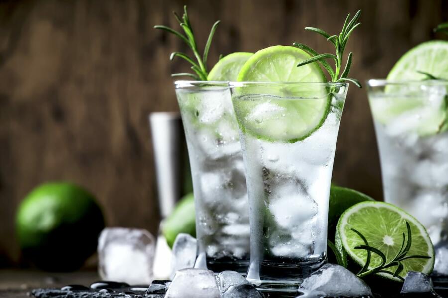 The Gin and Tonic