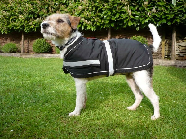 Use a waterproof dog coat