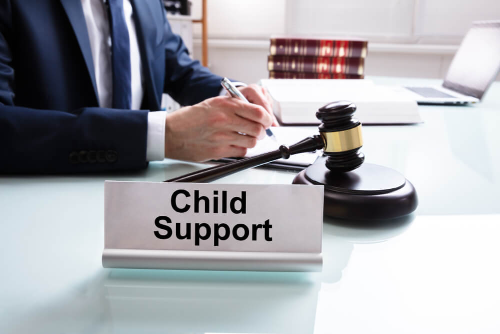 Child Support cases