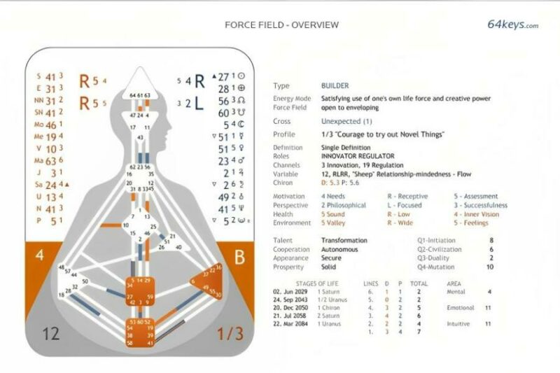 Know How to Read The Human Design Chart: A Complete Guide
