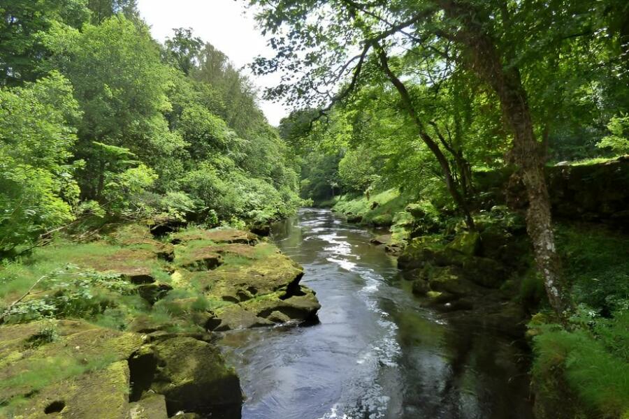 Bolton Strid – Know About The River That Traps and Kills