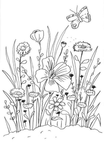 Meadow Flowers coloring