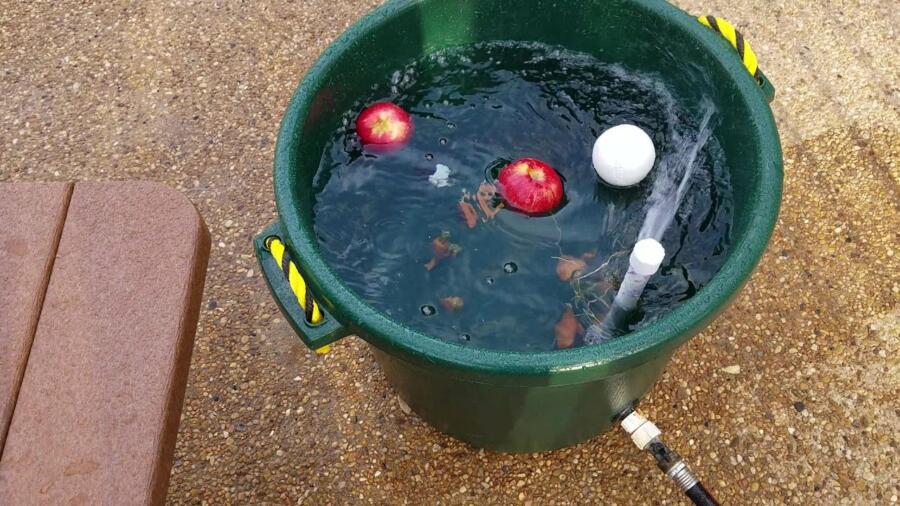 How To Clean Crawfish