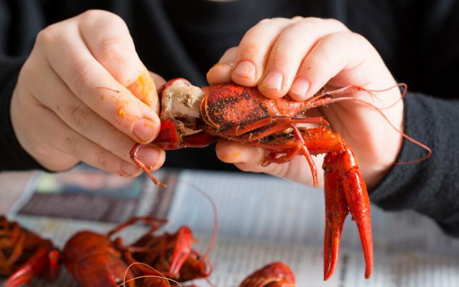 Step-by-step Instructions For Eating Crawfish