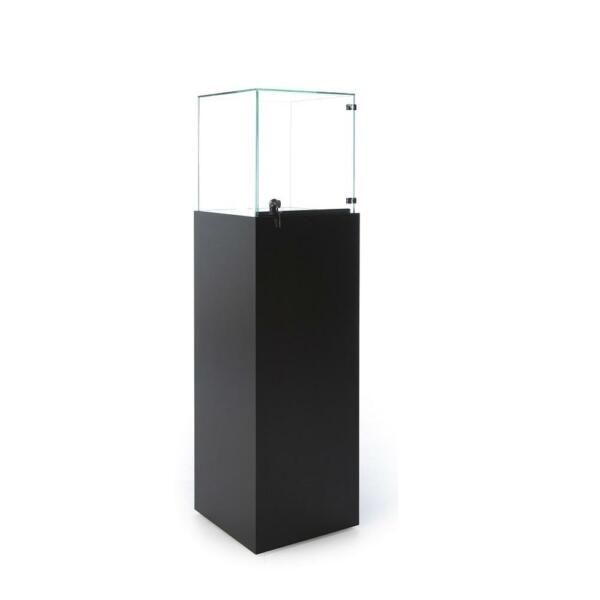 Pedistal Display Case