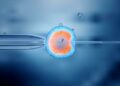 Egg Donation