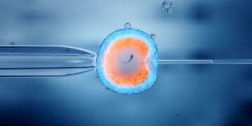 Egg Donation