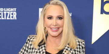 Shannon Beador Hit and Run: What really Happened?